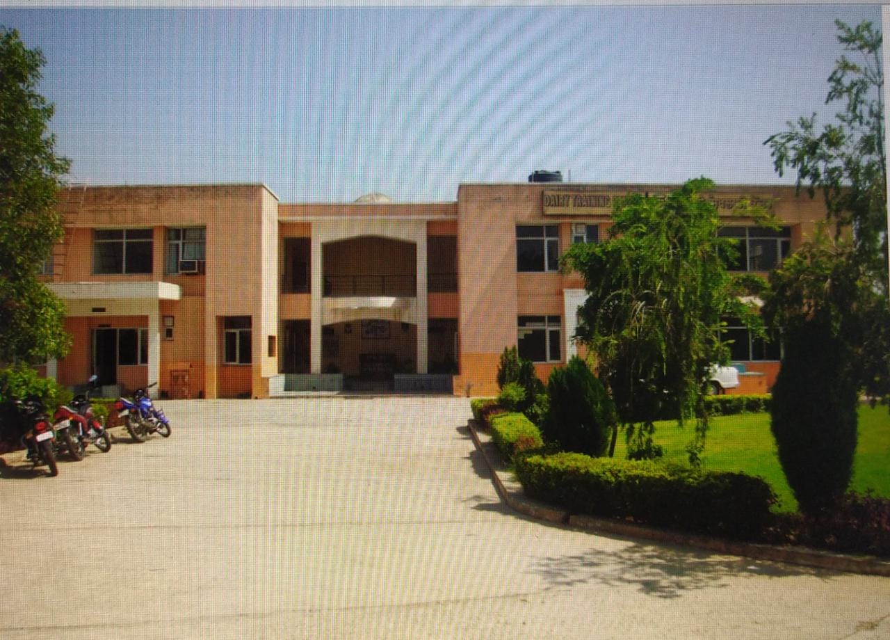 PUNJAB DAIRY DEVELOPMENT BOARD PDDB PUNJAB